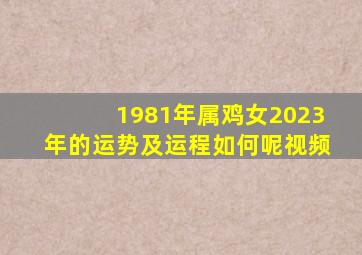 1981年属鸡女2023年的运势及运程如何呢视频