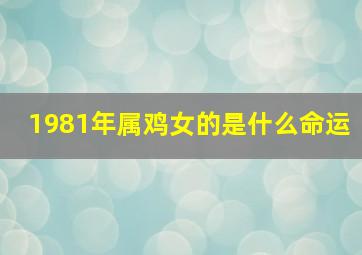 1981年属鸡女的是什么命运