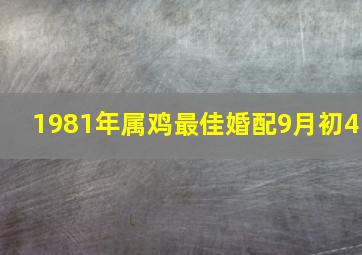 1981年属鸡最佳婚配9月初4