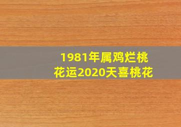 1981年属鸡烂桃花运2020天喜桃花