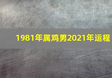 1981年属鸡男2021年运程