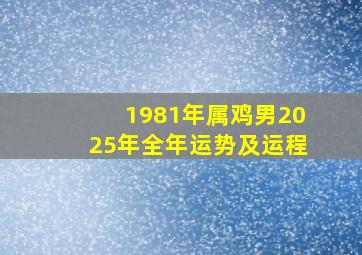 1981年属鸡男2025年全年运势及运程