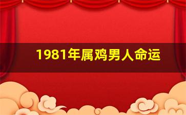 1981年属鸡男人命运