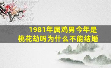 1981年属鸡男今年是桃花劫吗为什么不能结婚