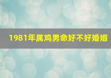 1981年属鸡男命好不好婚姻