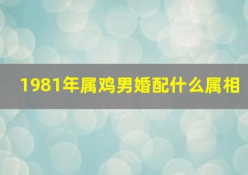 1981年属鸡男婚配什么属相