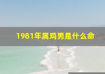 1981年属鸡男是什么命