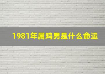 1981年属鸡男是什么命运