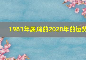 1981年属鸡的2020年的运势