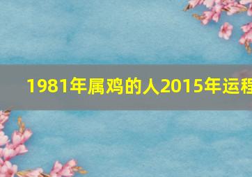 1981年属鸡的人2015年运程