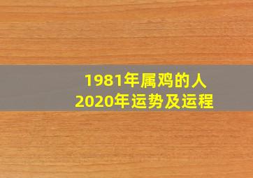 1981年属鸡的人2020年运势及运程