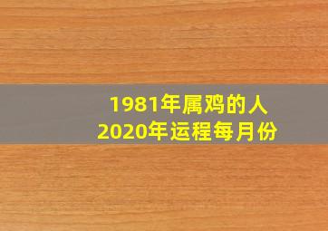 1981年属鸡的人2020年运程每月份