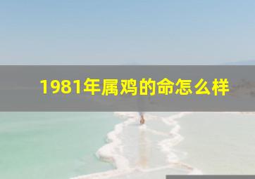 1981年属鸡的命怎么样