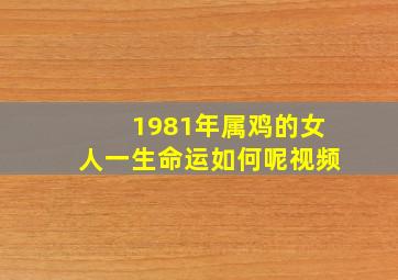 1981年属鸡的女人一生命运如何呢视频