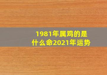 1981年属鸡的是什么命2021年运势