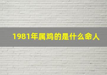 1981年属鸡的是什么命人