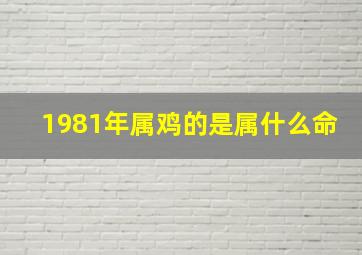 1981年属鸡的是属什么命