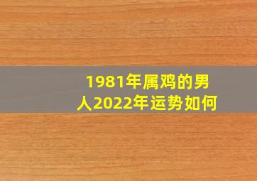 1981年属鸡的男人2022年运势如何