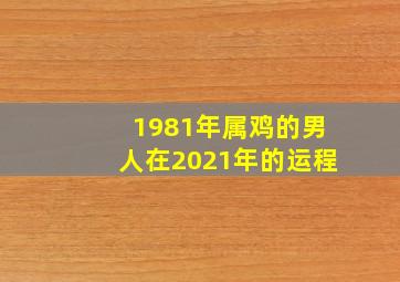 1981年属鸡的男人在2021年的运程