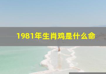 1981年生肖鸡是什么命