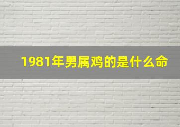 1981年男属鸡的是什么命