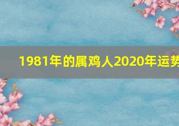 1981年的属鸡人2020年运势