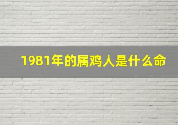 1981年的属鸡人是什么命