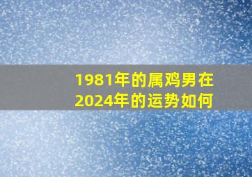 1981年的属鸡男在2024年的运势如何