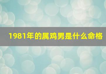 1981年的属鸡男是什么命格