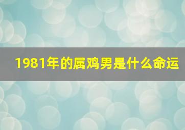 1981年的属鸡男是什么命运