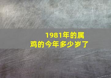 1981年的属鸡的今年多少岁了