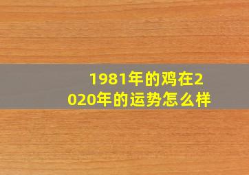 1981年的鸡在2020年的运势怎么样