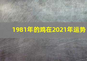 1981年的鸡在2021年运势