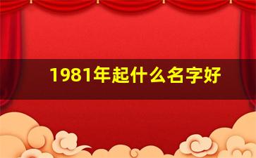 1981年起什么名字好