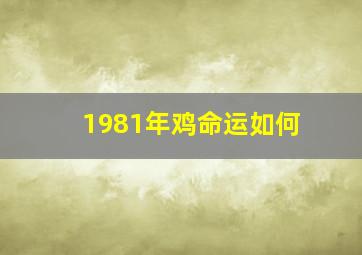 1981年鸡命运如何