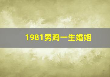 1981男鸡一生婚姻