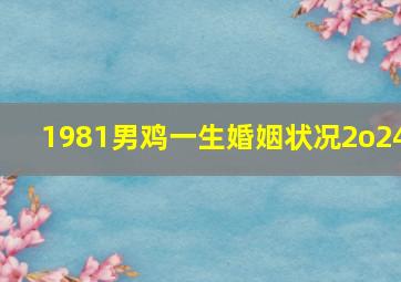 1981男鸡一生婚姻状况2o24