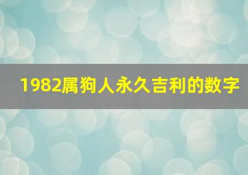 1982属狗人永久吉利的数字