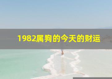 1982属狗的今天的财运