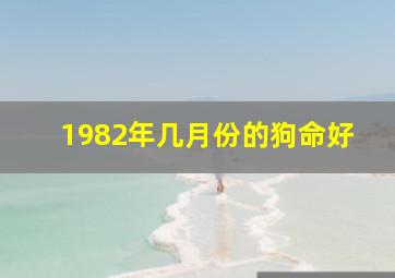 1982年几月份的狗命好