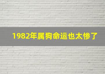 1982年属狗命运也太惨了