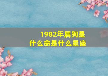 1982年属狗是什么命是什么星座