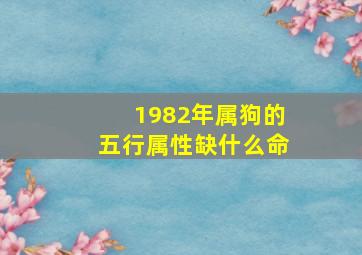 1982年属狗的五行属性缺什么命