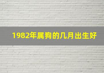 1982年属狗的几月出生好