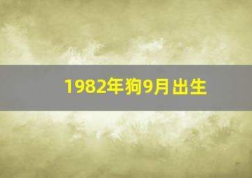 1982年狗9月出生