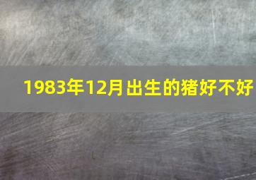 1983年12月出生的猪好不好