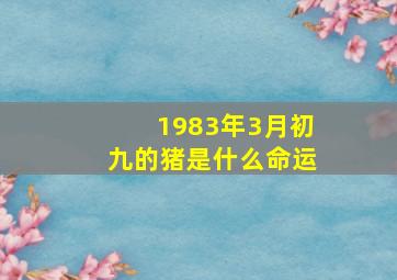 1983年3月初九的猪是什么命运