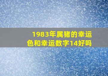 1983年属猪的幸运色和幸运数字14好吗