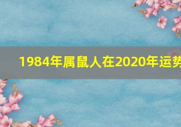 1984年属鼠人在2020年运势