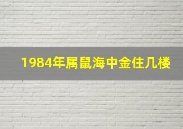 1984年属鼠海中金住几楼